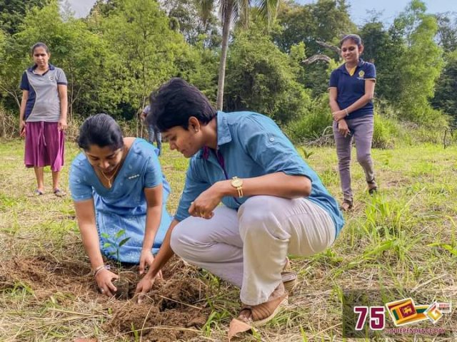 75 වන නිදහස් දින සමරු උළෙල